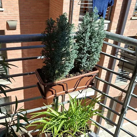 La Trifula Bianca Apts. Appartement *
