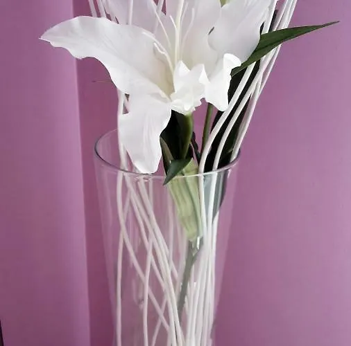 아파트 La Trifula Bianca Apts.