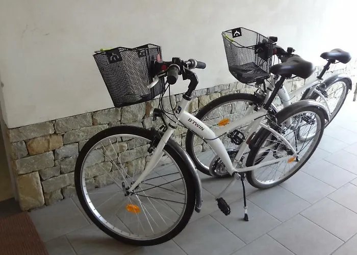 La Trifula Bianca Apts. 알바